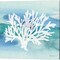 Sea Life Coral by Lisa Audit 14" x 14" Canvas Wall Art (Set of 2)